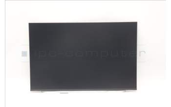 Lenovo 5D11M52521 DISPLAY FRU N160JCA-EL1 C1