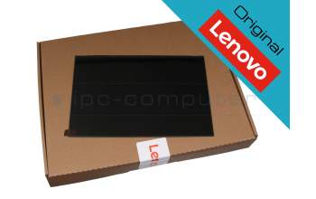 Lenovo 5D11A22505 original IPS display WUXGA (1920x1200) matt 60Hz