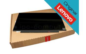 Lenovo ThinkPad X1 Carbon 7th Gen (20R1/20R2) original IPS display FHD (1920x1080) matt 60Hz (height 19.5 cm)