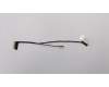 Lenovo 5C10Q56309 CABLE LCD Cable W 81AV