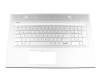 490.0EH07.CS0G original HP keyboard incl. topcase DE (german) silver/silver with backlight