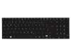 71JC39BO010 original Acer keyboard DE (german) black